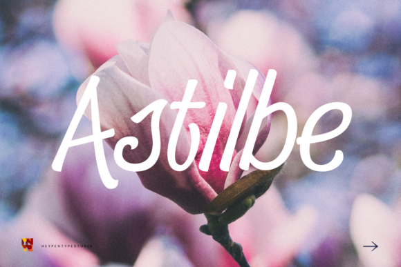 Astilbe Font: A Handwritten Typeface for Polished Branding