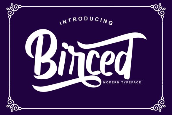Birced Font: A Web Designer’s Guide to Quirky Type