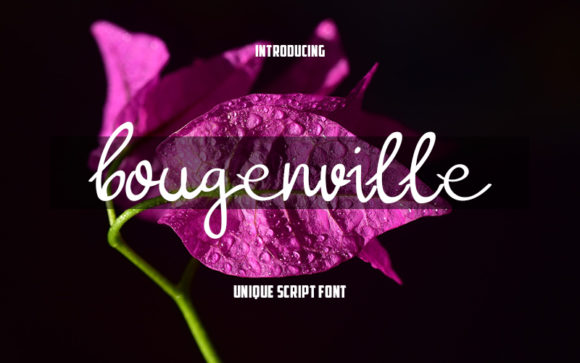 Bougenville: A Handwritten Font for Editorial Design