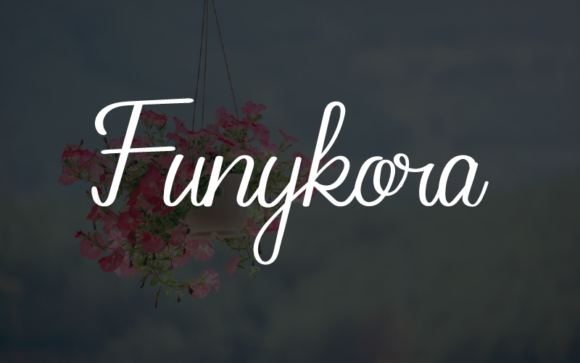 Funykora Font Review: A Sweet Handwritten Typeface