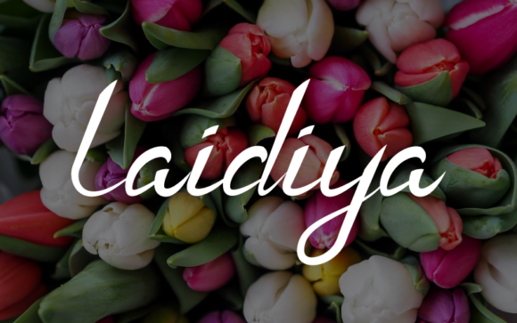 Laidiya: A Versatile Handwritten Font for Web Design