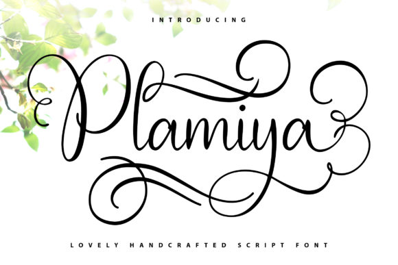 Plamiya: A Handwritten Font for Branding