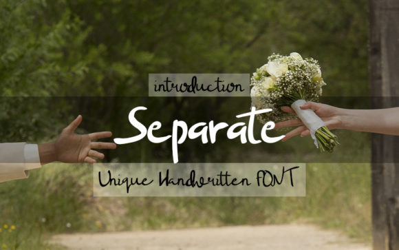 Separate: A Designer’s Honest Review for Real Branding